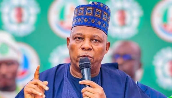 Tinubu to prioritize domestic health financing, industrialization, says Shettima